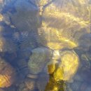 풀빛둥지펜션 이미지