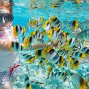 세부에서뭐하지 네이버블로그