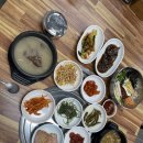 김제 육회비빔밥 서암동 정육식당 지평선을 품은 한우 착한가격 고퀄리티!
