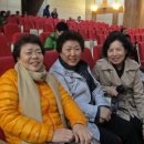 브레인웨어 이미지