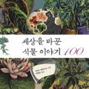 식물이야기 - 완도군 개포로62번길 41 | 식물이야기