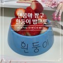 밥그릇 | 댄꼼마 짱구 흰둥이 밥그릇 내돈내산 후기