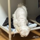 ㈜한스케익 공덕점 | 12월 일상은 핑계고 25년 퇴장 26년 입장 새해 복 많이 잘 부탁드립니다