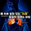 폐속에 쌓여있는 가래 말끔히 없애는 방법.. 이미지