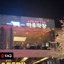마루막창 | [대구 맛집]🌸대구 수성못 마루막창 후기🌙 벚꽃 시즌에 더 미쳤다…(블루리본 2개 막창집)💙