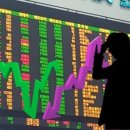 일동알파 이미지