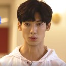 한국펫주식회사 이미지