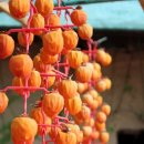 초전지고을 이미지