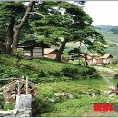 솔향기마을 이미지