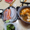 둥이카 이미지
