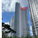 배곧고등학교 이미지