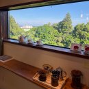 제주귤빛스테이 이미지