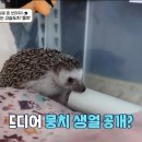 따봉 이미지