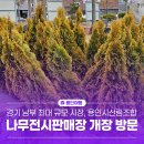 장수산림조합 앞 | [용인여행] 마평동 경기 남부 최대 규모의 나무시장, 용인시산림조합 나무전시판매장 개장 방문 후기