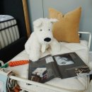 백석농협경제사업소 | 부모님침대 선물 고민끝 시몬스 일산백석점 매트리스추천 체험기