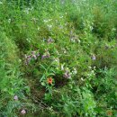 동두천역 이미지