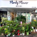 산호대로-15 이미지