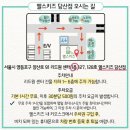 엘스키즈