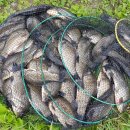 못말낚시터 이미지