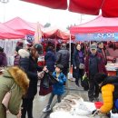 아라 일출 이미지