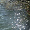 가든산장 | 세종고복저수지 벚꽃 구경 후 "산장가든" 식사 후기(+웨이팅 꿀팁!)