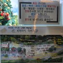 계곡에풍덩펜션캠핑장 | 가평 계곡에풍덩펜션캠핑장 방문 후기(Feat. 물놀이, 즐길거리)