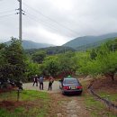 비슬목장 이미지