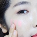 핑키플로리아 이미지