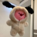 블로그가 너무 쓰기 귀찮다(십신 게으름 극복법 1탄)
