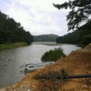 태산 태양광발전소 이미지