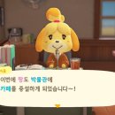 파니투어 이미지