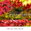 천보산로 이미지