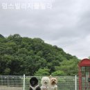 멍스빌리지풀빌라1 이미지