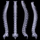 한나라한의원 이미지