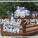 해용목장 이미지