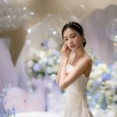 신라헤어블루