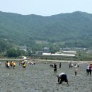강화농산물판매장