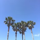 우도설빙면 | 2박3일 제주도여행 (2) /큰엉해안경승지/휴애리/우도/우도설빙면/노낭근고기