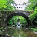 지친 몸과 마음을 20분 내에 치유하는 명상 & 스트레칭 방법 | 웰니스 여행 가볼만한곳 순천 선암사 템플스테이 다시 비움
