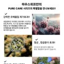 하우스위프 이미지