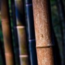 시립중계노인전문요양원 이미지