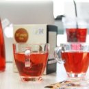 티라임스 이미지