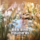 서울 용산 전시 플로랄 팔레트 인생사진관 #5 솔직후기 가격 주차 전시 정보
