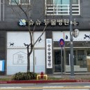 슈슈 동물병원 이미지