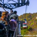 내장산관광안내소 이미지