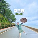 수국도 | 수국 없이 방문해보는 뒤늦은 저구항 방문 후기!