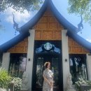 연세스마트약국 | 25년 10월 카페 BEST 게시글_② (재업 / 전체 공개본)