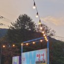 W펜션 | 강촌역 근처 가성비 좋은 감성 펜션, 춘천 W펜션 후기 🌲🌌