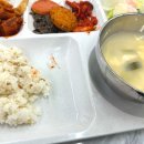 런치투게더 이미지