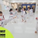 BEST태권도장 이미지